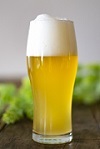 飲み物－タンブラーの白ビール