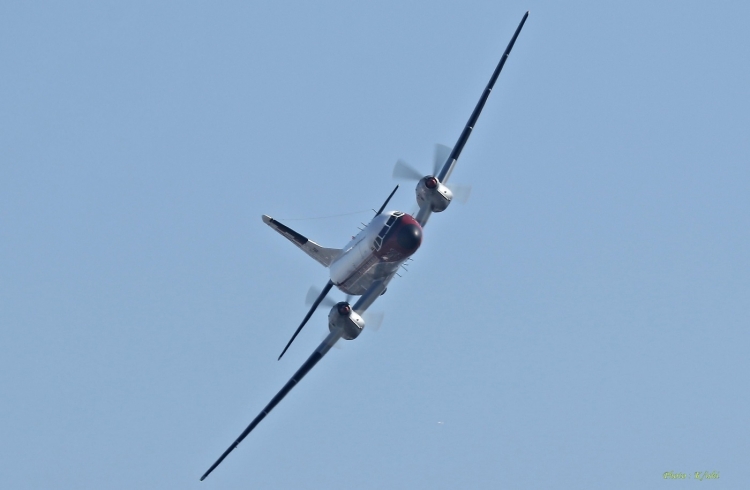 F-20.jpg