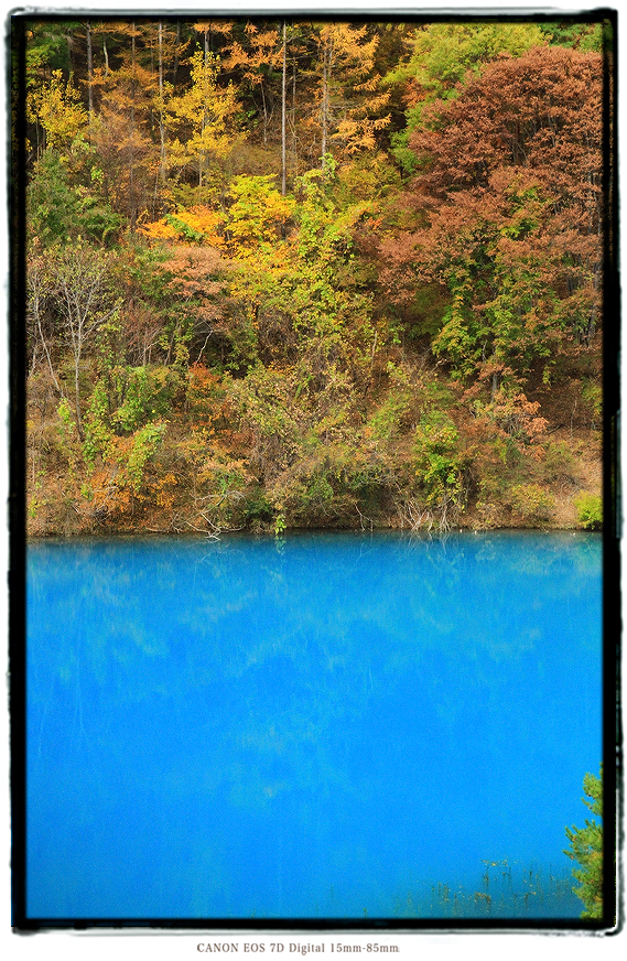 長野県の青い池1911naganobluepond02.jpg