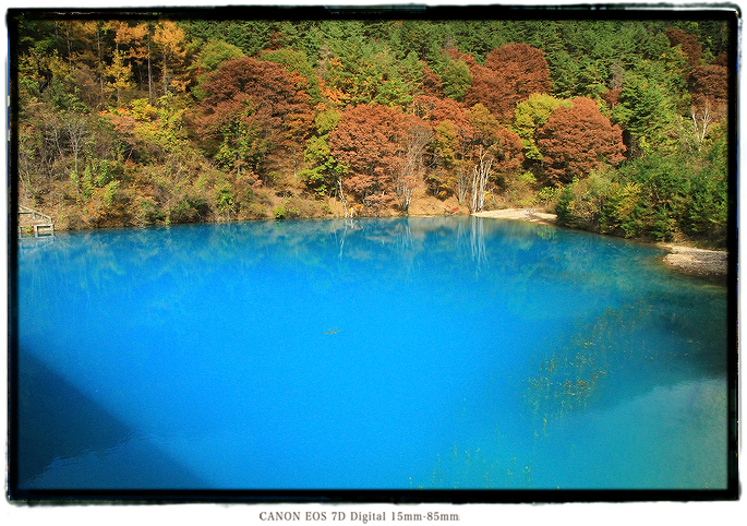 長野県の青い池1911naganobluepond05.jpg