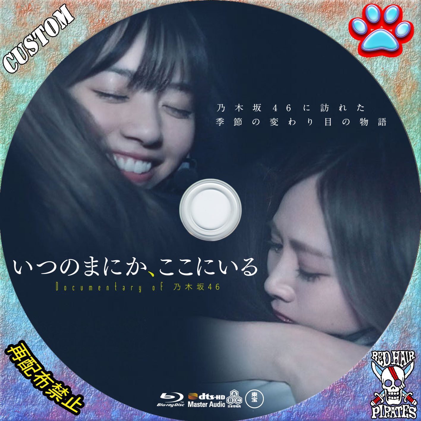 いつのまにか、ここにいる Documentary of 乃木坂46 DVD-
