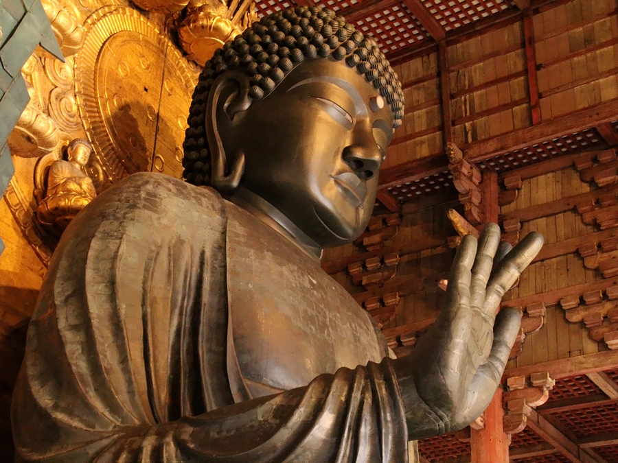 大仏殿や奈良の大仏だけじゃない！奈良東大寺の境内を撮り歩く！