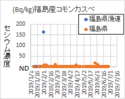 基準超が見つかっても、殆んどがＮＤの福島県のコモンカスベ検査