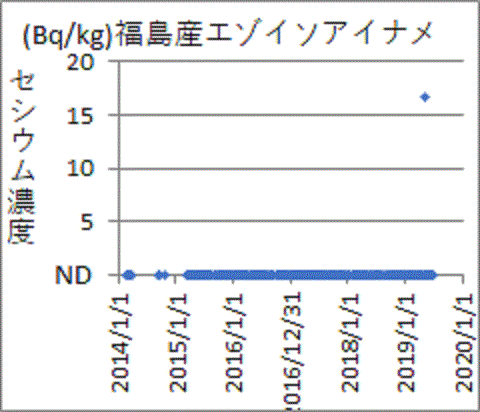 突然に上昇する福島産エゾイソアイナメのセシウム