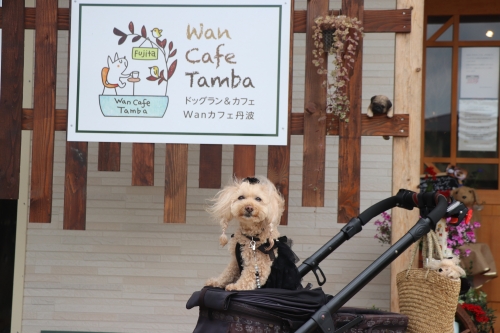 Wan Cafe Tamba