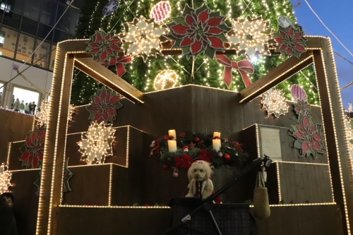 ドイツ・クリスマスマーケット大阪