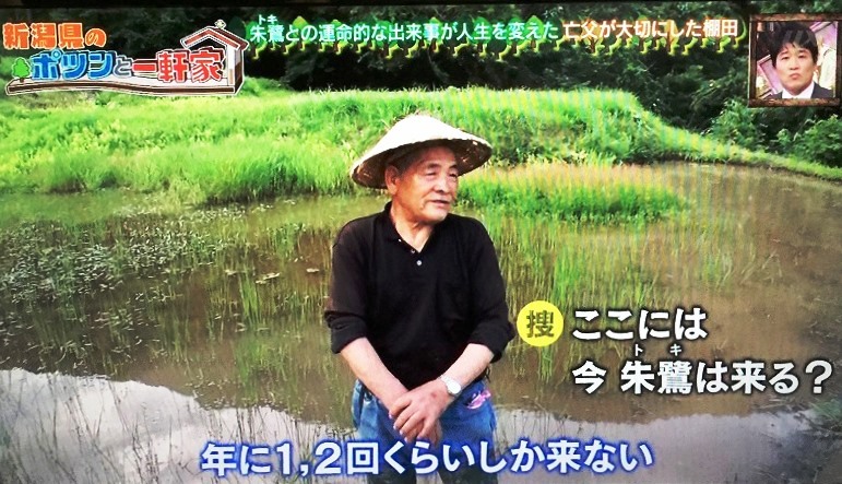 たか高野毅 3010月 TV「新潟県のぽつんと一軒家」 (7)