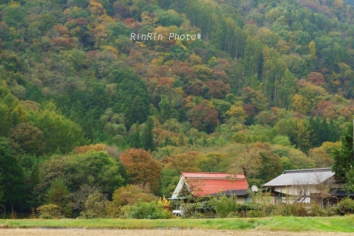 2019年10月武石村の家