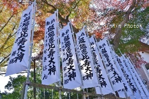 2019年11月飯能恵比寿神社(300x200)