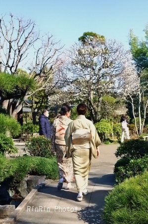2020年2月日本庭園を和服で