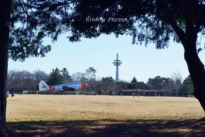 2020年2月所沢航空記念公園飛行機