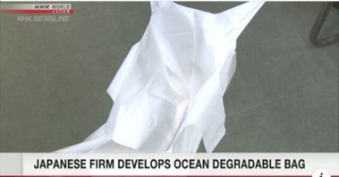 海外 何とかしてくれるのは日本だと思ってた 愛媛の企業が海でも分解されるレジ袋を開発 海外の反応 こんなニュースにでくわした