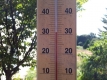 31℃の真夏日