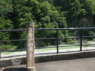 富山道の駅上平