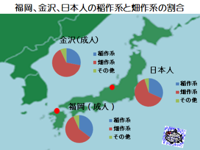 福岡と金沢の稲作系と畑作系の割合