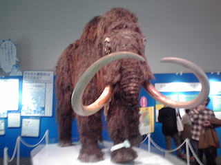 Mammoth3