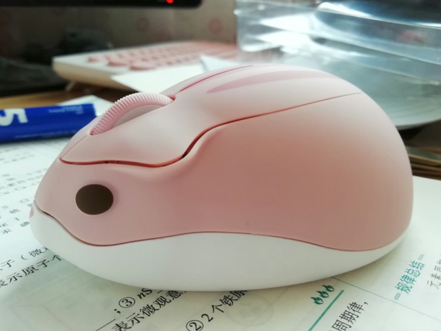 Akko_Hamster_Mouse_04.jpg